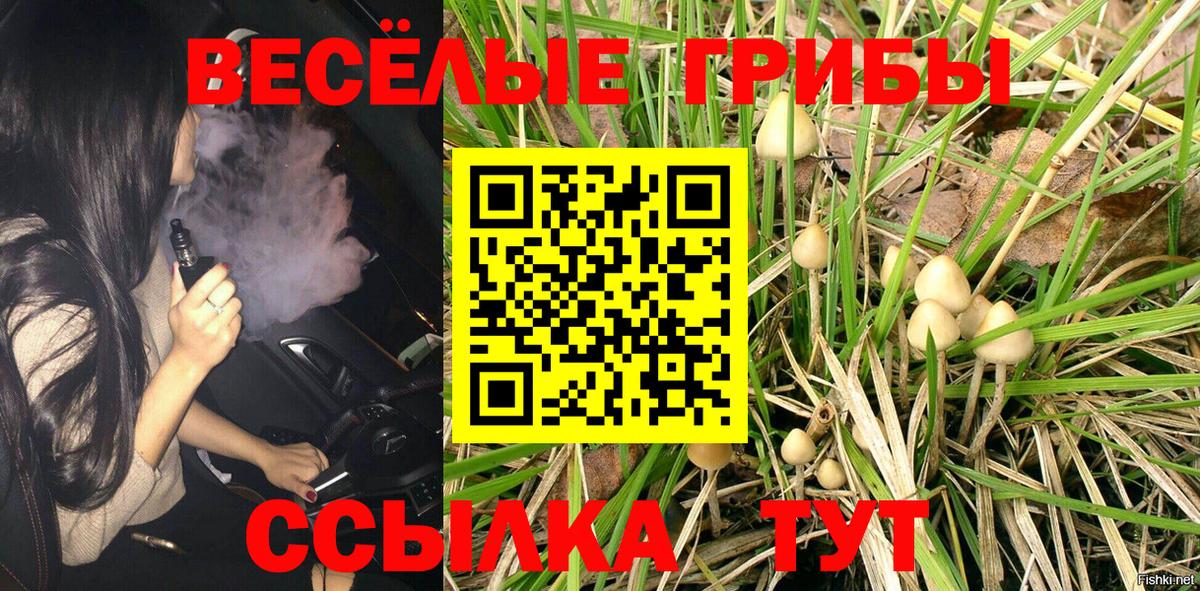 Псилоцибиновые грибы мицелий Новочеркасск